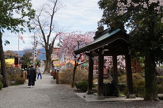 around the shrine